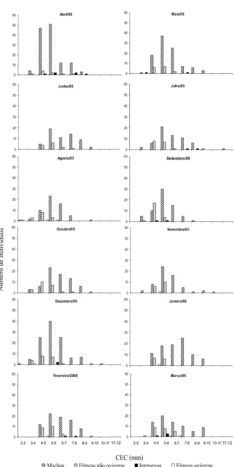 Figura 3. Distribuição da frequência absoluta das categorias demográficas nas diferentes classes de comprimento do escudo cefalotorácico (CEC) de Clibanarius vittatus (Bosc, 1802) coletados no período de abril de 2005 a março de 2006 no Baixio Mirim, Baía 