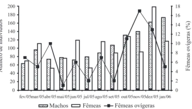 Figura 3. Frequência absoluta de machos e fêmeas e frequência relativa de fêmeas ovígeras de Uca maracoani (Latreille,  1802-1803) durante o período de fevereiro de 2005 a janeiro de 2006, no Baixio Mirim, Baía de Guaratuba, PR.