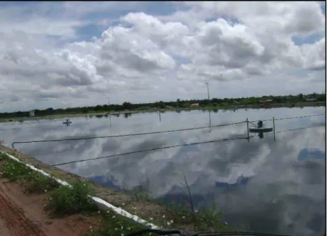 Figura 4: Visão de uma das lagoas do SITEL do DIN. 