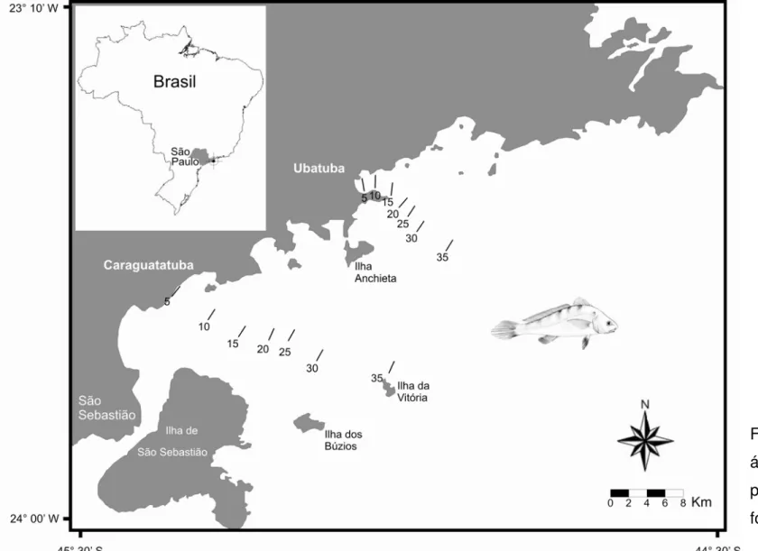 Figura 1. Localização das  áreas de estudo com destaque  para os transectos (m) onde  foram realizados os arrastos