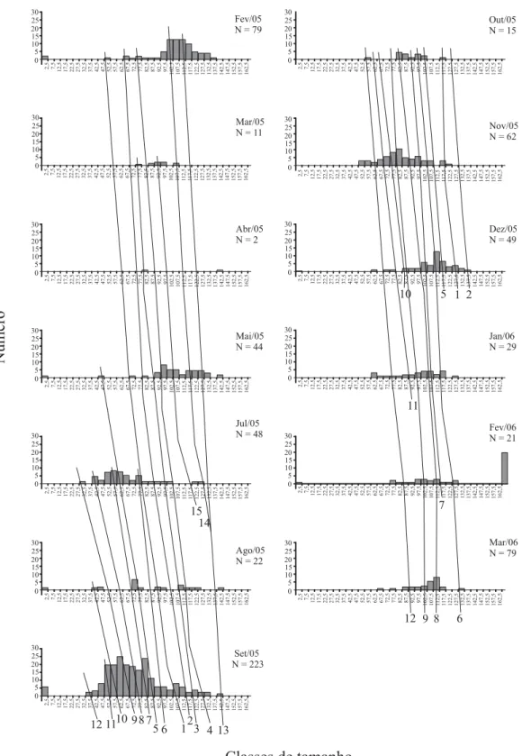 Fig. 3. Análise da progressão modal de fêmeas de Callinectes sapidus Rathbun, 1896 coletados no Saco da Mangueira, estuário da laguna dos Patos, de fevereiro de 2005 a março de 2006