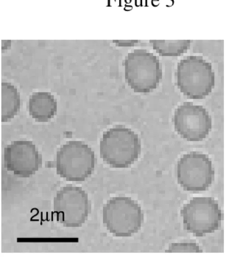 Figure 2: Photomicrography of blood smear from blood incubated with with OZE solution (2.5 mg/ml)    and stained by May-Grünwald-Giemsa  method