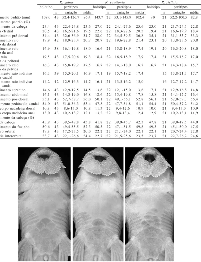 Tabela III. Dados morfométricos do holótipo e parátipos de Rineloricaria zaina, R. capitonia e R