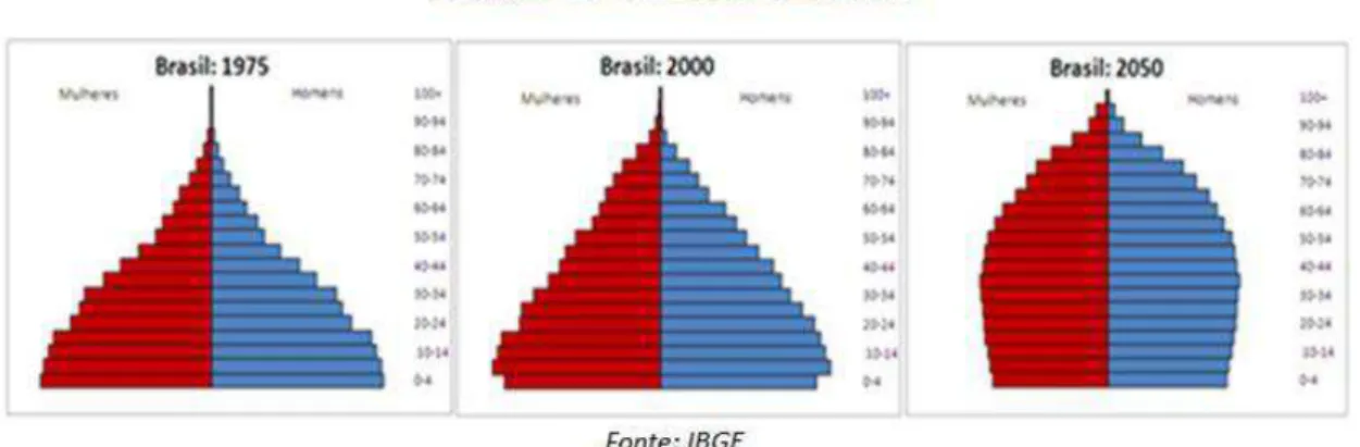 Figura 1  – Projeção do Perfil Etário Brasileiro 