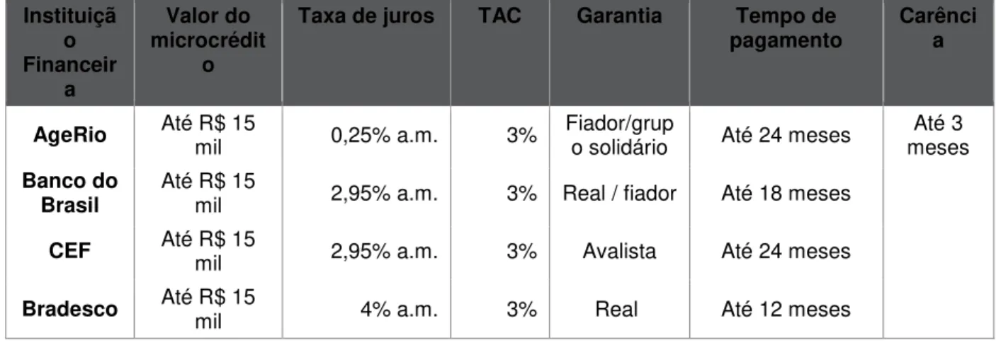 Tabela 2: Operações de microcrédito na cidade do Rio de Janeiro 