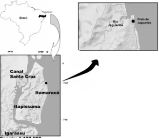 Fig. 1. Mapa da ilha de Itamaracá, Pernambuco, com a indicação do local de coleta na praia de Jaguaribe (•).
