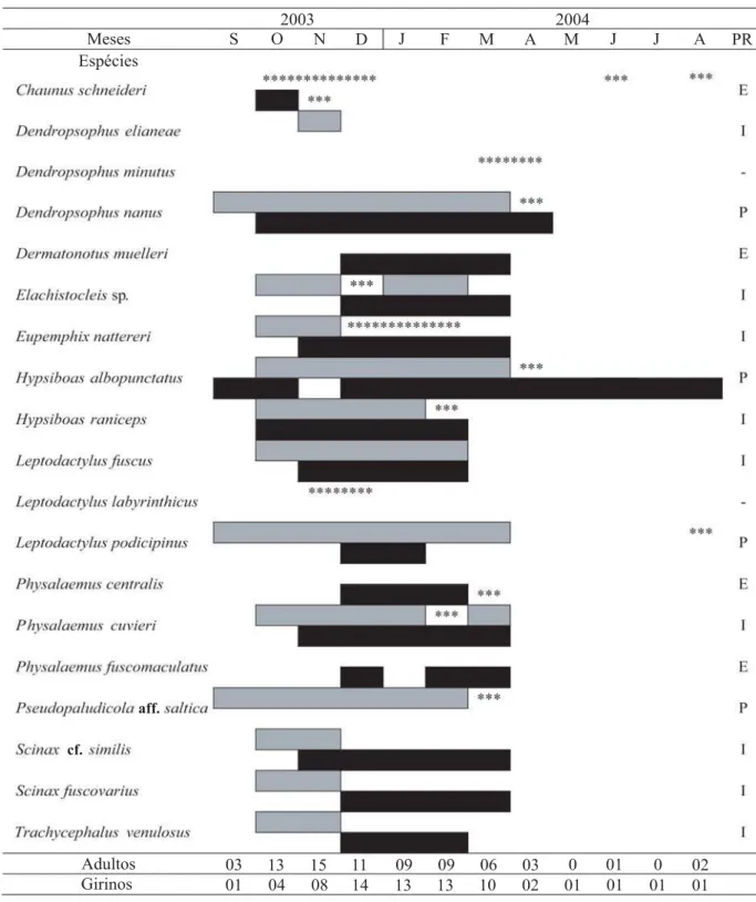 Fig. 5. Temporada de vocalização dos adultos (barra superior, cinza) e ocorrência mensal dos girinos (barra inferior, preta) das espécies registradas em Santa Fé do Sul, SP, entre setembro de 2003 e agosto de 2004