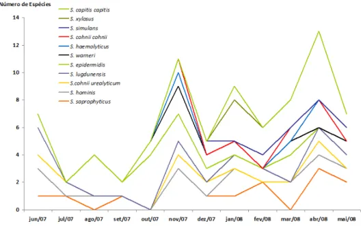 Figura 9: Distribuição dos tipos de bactérias segundo os meses pesquisados. 