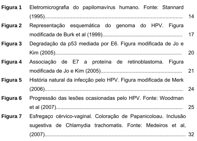 Figura 1  Eletromicrografia do papilomavírus humano. Fonte: Stannard  (1995)..............................................................................................