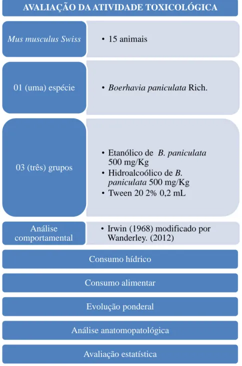 Figura  144  –  Representação  esquemática  das  etapas  para  avaliação  da  atividade  toxicológica  de  B