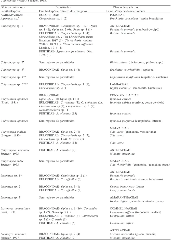 Tabela II. Dípteros minadores e seus respectivos parasitóides presentes em plantas de crescimento espontâneo em um pomar de ‘Murcott’, Montenegro, RS entre maio de 2003 e maio de 2004