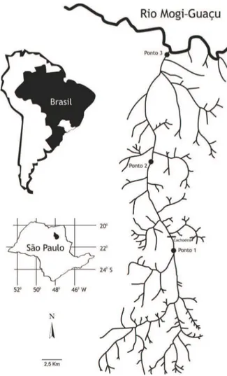 Fig. 1. Localização dos pontos de coleta no ribeirão do Pântano, afluente do rio Mogi-Guaçu, São Paulo, Brasil.