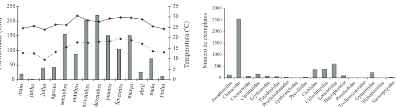 Fig. 3. Contribuição em número de indivíduos das famílias de peixes coletadas nos três pontos amostrados do ribeirão do Pântano, São Paulo, Brasil entre os meses de maio de 2000 e junho de 2001.