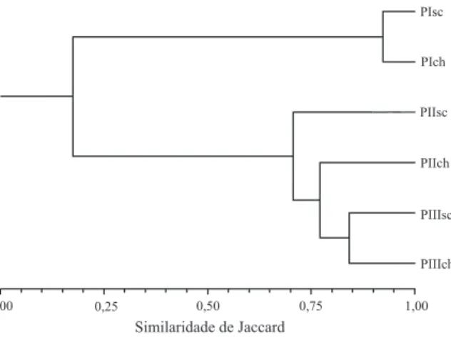 Fig. 5. Dendrograma de similaridade de espécies entre os pontos amostrados nas estações seca e chuvosa no ribeirão do Pântano, São Paulo, Brasil entre os meses de maio de 2000 e junho de 2001