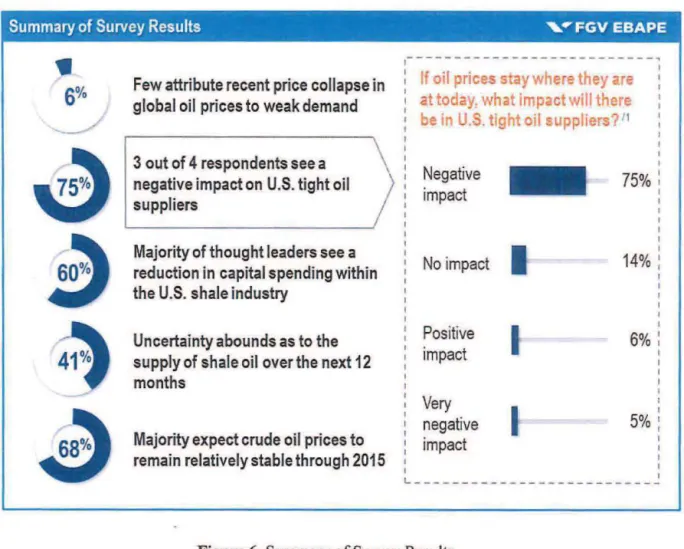 Figure 6.  Summary ofSurvey Results 