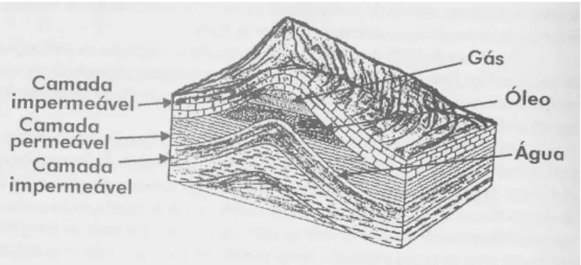 Figura II  – Fluidos da rocha-reservatório 179 . 