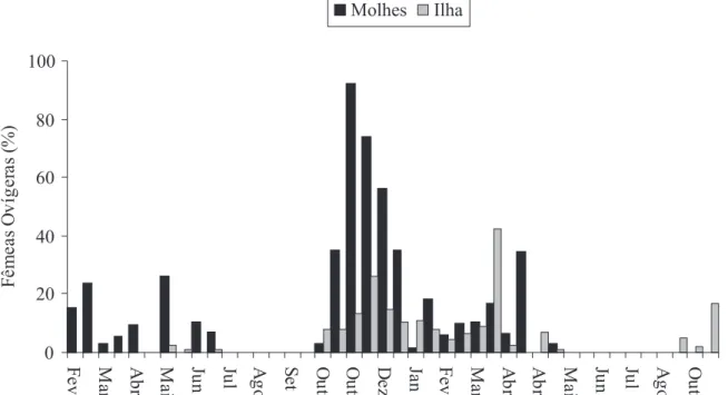 Fig. 2. Freqüência relativa de fêmeas ovígeras de Ligia exotica ao longo do período amostral, no Estuário da Lagoa dos Patos, Rio Grande, Rio Grande do Sul, Brasil.