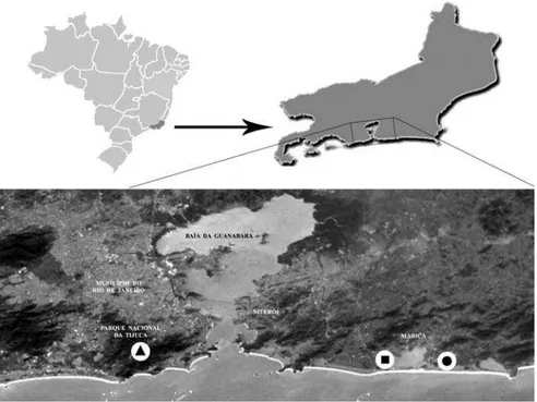 Fig. 19. Distribuição das novas espécies de Arlea no Estado do Rio de Janeiro (   , A