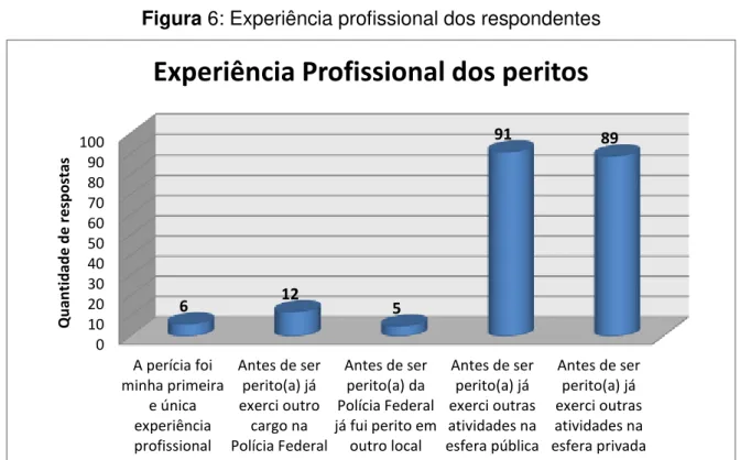 Figura 6: Experiência profissional dos respondentes 