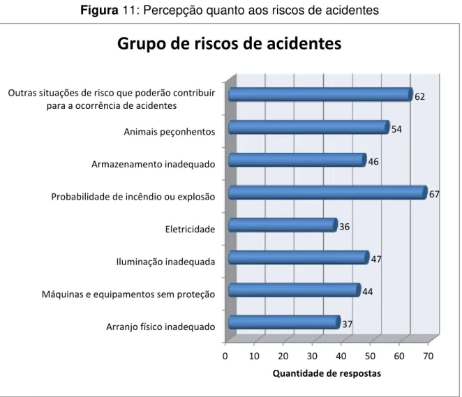Figura 11: Percepção quanto aos riscos de acidentes 