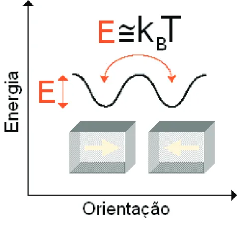 Figura 1.9: Flutua¸c˜ ao da magnetiza¸c˜ ao no estado superparamagn´etico.