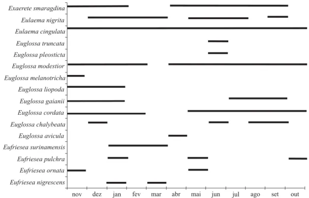 Fig. 1. Período de atividade (linhas) dos Euglossina coletados de novembro de 2000 a outubro de 2001, em Urbano Santos, MA.