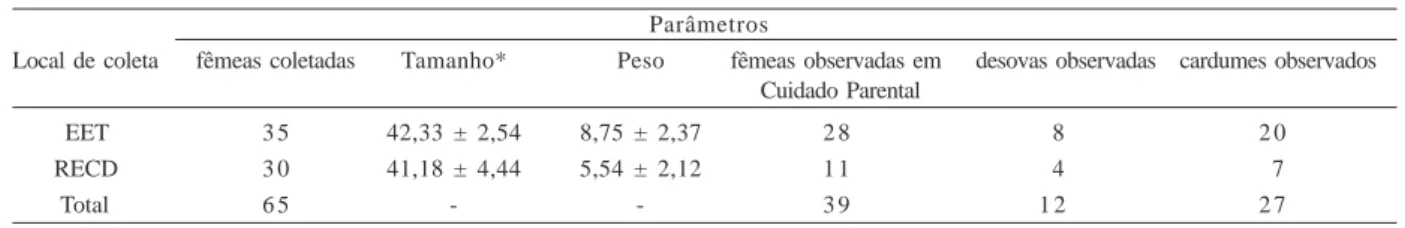 Tabela I. Parâmetros das fêmeas de Leptodactylus natalensis observadas entre setembro de 2002 e setembro de 2003, na Estação Ecológica do Tapacurá (EET) e Refúgio Ecológico Charles Darwin (RECD)