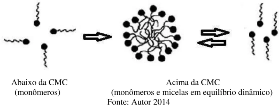 Figura 2.4 - Representação esquemática da formação de um agregado micelar. 