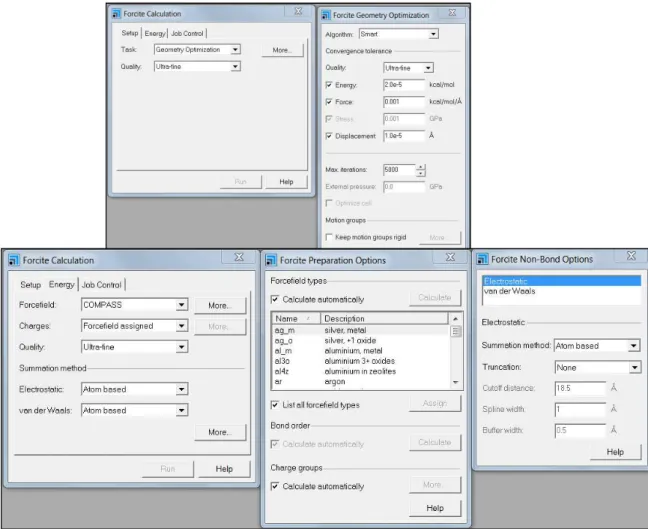 Figura  7:  Imagens  da  Interface  do  software  Materials  Studio®  com  os  parâmetros 
