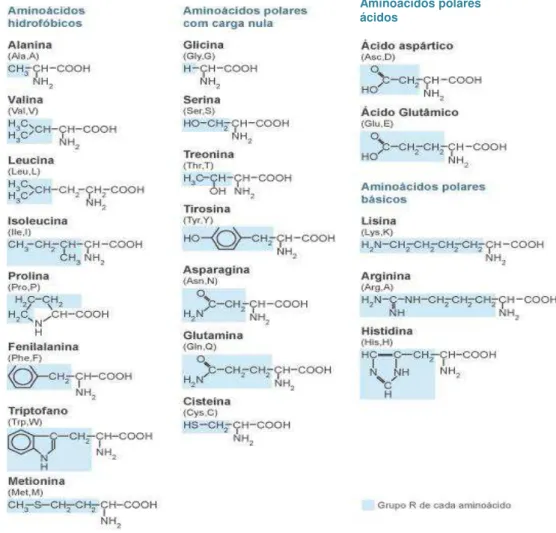 Figura  10:  Nomeclatura,  estrutura  química  e  classificação  dos  vinte  tipos  de 