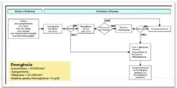 Figura 2 - Ilustração de Fluxograma de sinais de alerta para leucemia. Fonte: BRASIL  (2009a, p