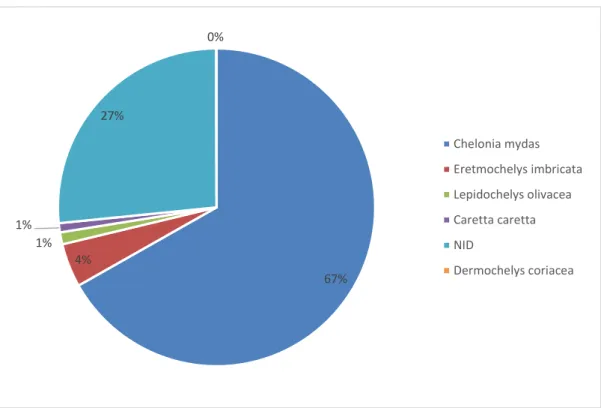 Figura 02 - Frequência percentual por espécies de tartarugas marinhas encalhadas na Bacia  Potiguar-RN entre janeiro de 2010 a dezembro de 2012.