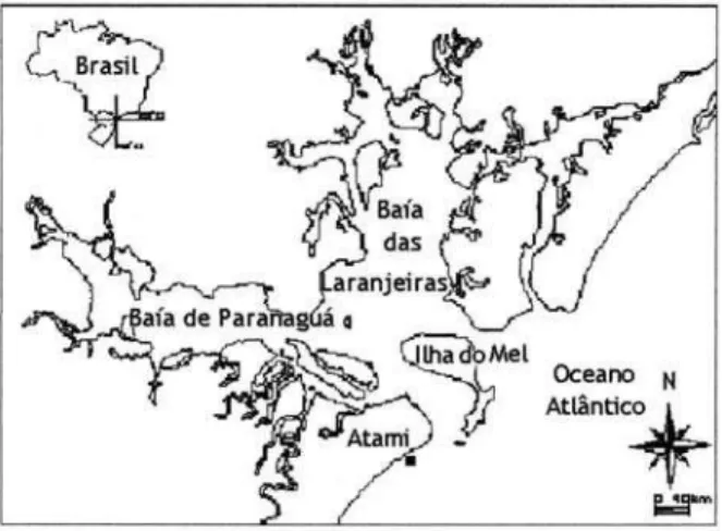 Fig. 1. Litoral paranaense, com a localização do ponto de amostragem (  ) na praia Balneário de Atami.