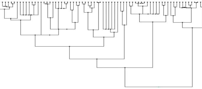 Fig. 1. Filogenia das 70 espécies de carnívoros analisados. As espécies, da esquerda para a direita, seguem a ordem apresentada na tab