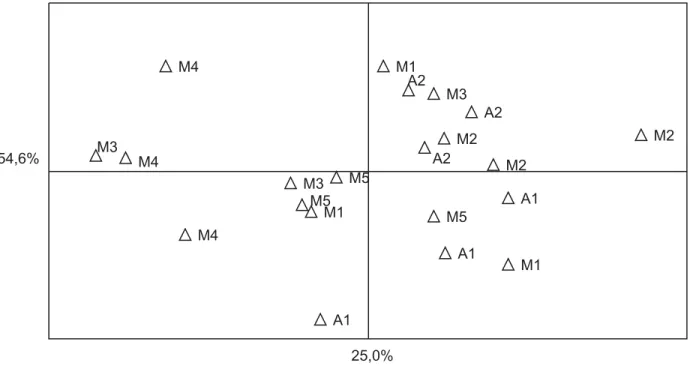Tabela I. Densidade média (indivíduos.m -2 ) e percentual (%) de diferentes grupos de microartrópodes do solo em sete fragmentos de mata com araucária no município de Muitos Capões, RS, Brasil, em junho de 2000.