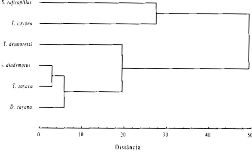Fig. 2. Dendrograma de similaridade alimentar para as seis espécies de traupíneos mais observados, a partir dos dados da tabela I.
