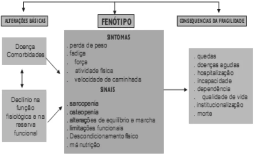 Figura 1  –  Fenótipo de fragilidade   Fonte: (BRASIL, 2006a) 