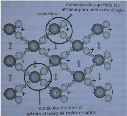 Figura 10 - Representação das diferentes forças de atração que atuam em um líquido 