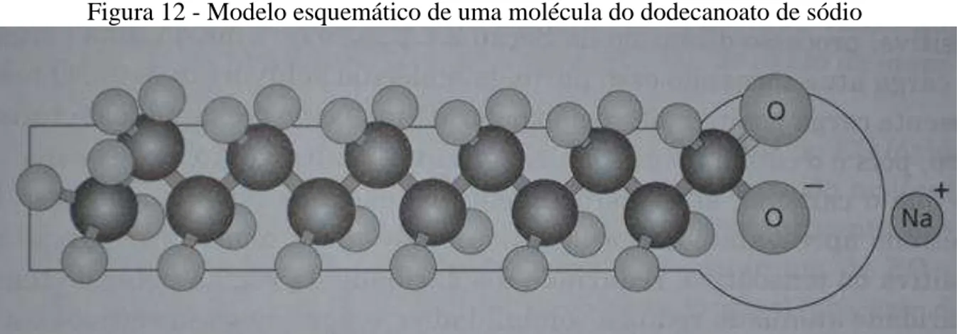 Figura 12 - Modelo esquemático de uma molécula do dodecanoato de sódio 