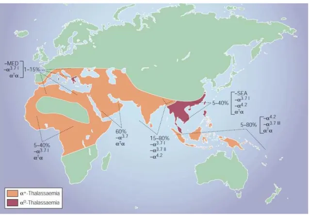 Figura 12 - Distribuição mundial da talassemia alfa (WEATHERALL, 2001b) 