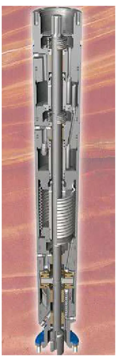 Figura 2.4 – Protetor com fole (Schlumberger, Advanced Motor Protector, 2006)