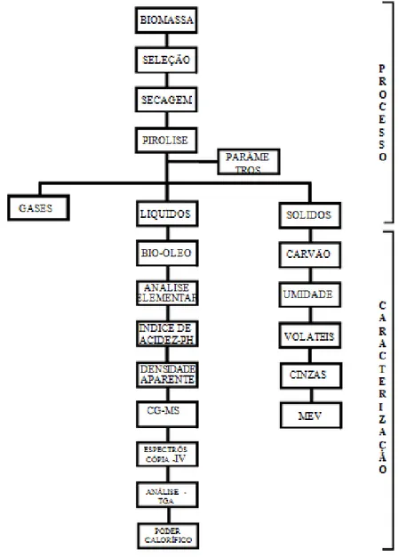 Figura 3.1. Fluxograma de processo de pirólise e caracterização dos produtos. 