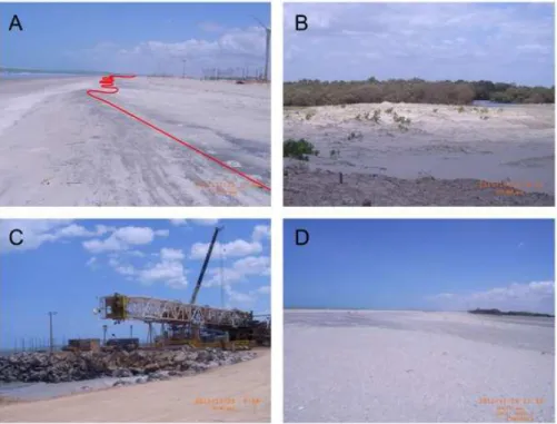 Figura  2 –  Feições  naturais e artificiais encontradas na Praia  de Soledade:  (a) cúspides  praiais, (b) manguezal  com vegetação característica, (c) trechos com intervenção antrópica, e (d) canais de maré