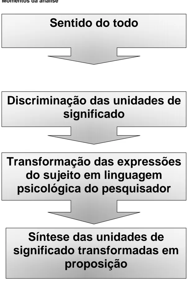 FIGURA 1 : Representação gráfica dos momentos da análise. 