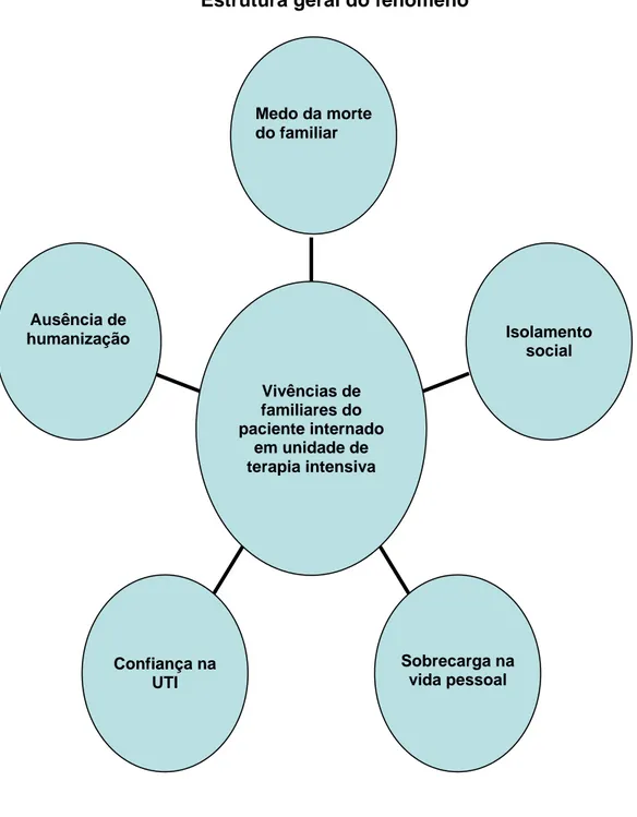 FIGURA 2 : Representação gráfica da estrutura geral do fenômeno situado. 