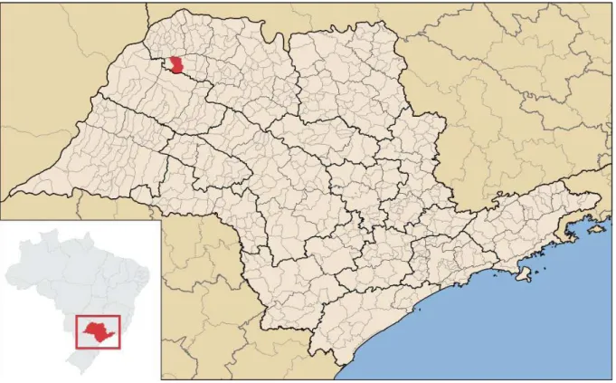 Figura 1  – Município de Auriﬂ ama no estado de São Paulo Fonte: Adaptado de IBGE cidades.
