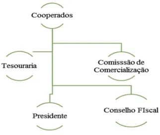 Figura 1  – Estrutura Hierárquica da   CATAMARE