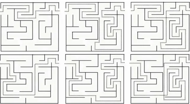 Figura 1- Modelo do labirinto utilizado no estudo e os diferentes caminhos para solução