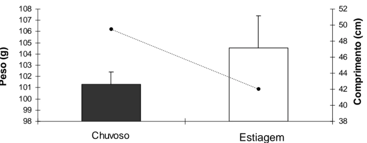 Figura  4.  Relação  entre  o  peso  e  o  comprimento  de  Synbranchus  marmoratus  no  período de agosto de 2007 a julho de 2008