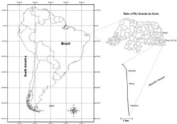 Fig. 1. Location of the study site at Tibau do Sul municipality, Northeastern Brazil (6º 13'  40&#34;S; 35º 03' 05&#34;W)